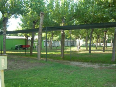 camping-europa-vasto-marina-piazzole.jpg